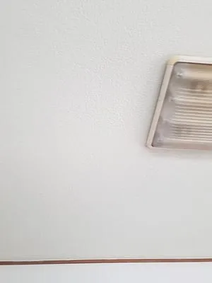 天井のカビ除去と塗装